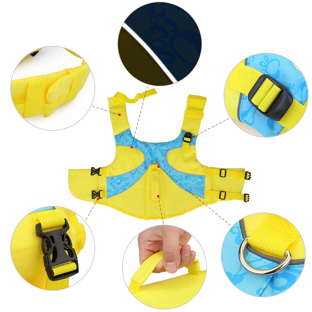 Summer Life Jacket Cat