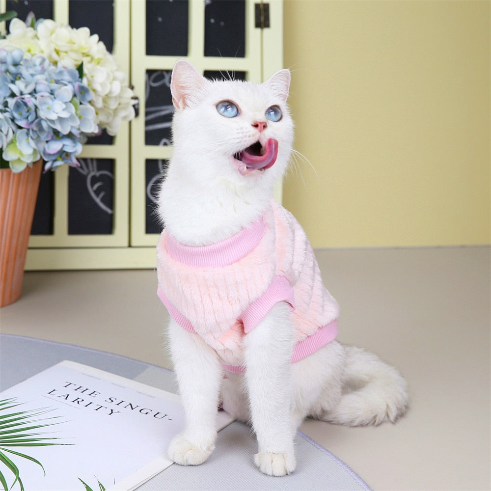 Sunflower Clothes for Cats