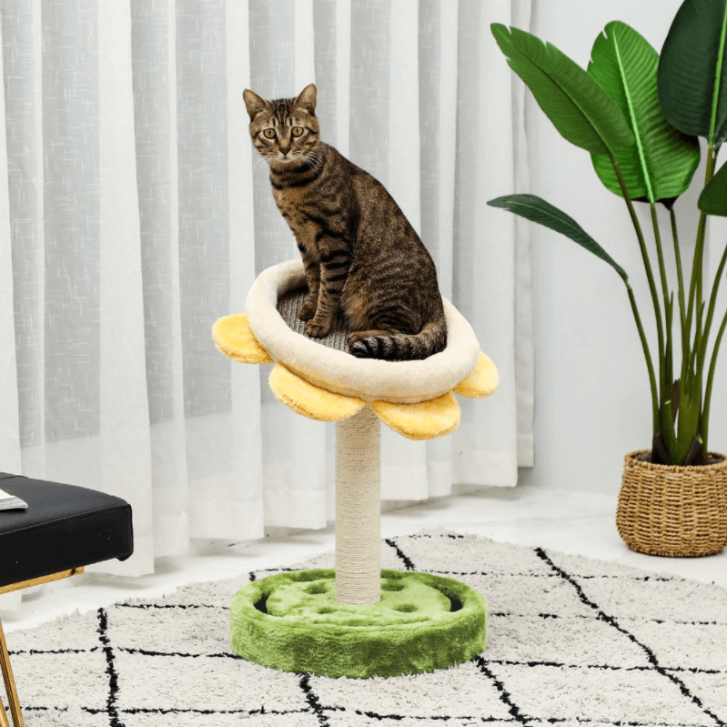 Sunflower Scratching Post
