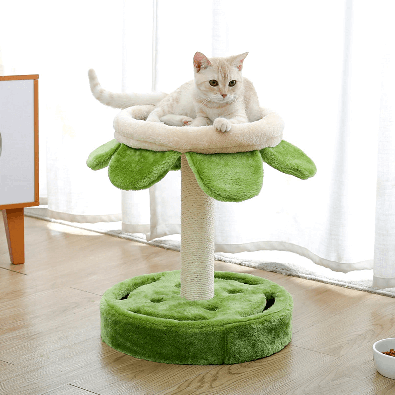 Sunflower Scratching Post