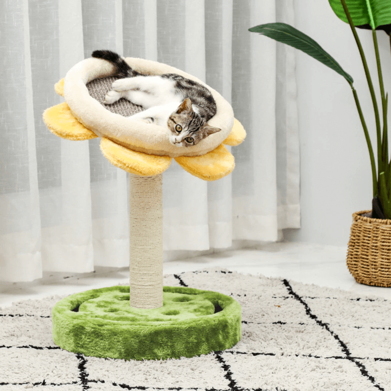 Sunflower Scratching Post