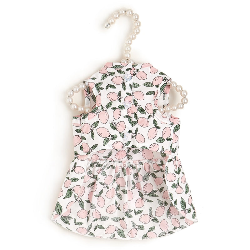 Sweet Bow Clothes for Cats