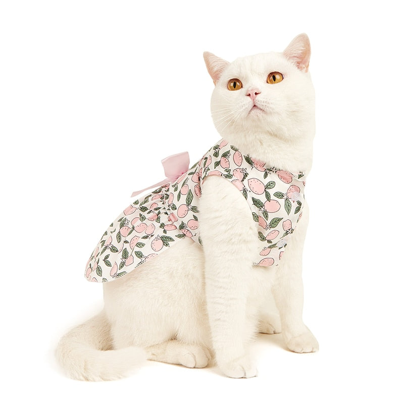 Sweet Bow Clothes for Cats