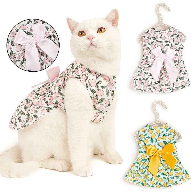 Sweet Bow Clothes for Cats
