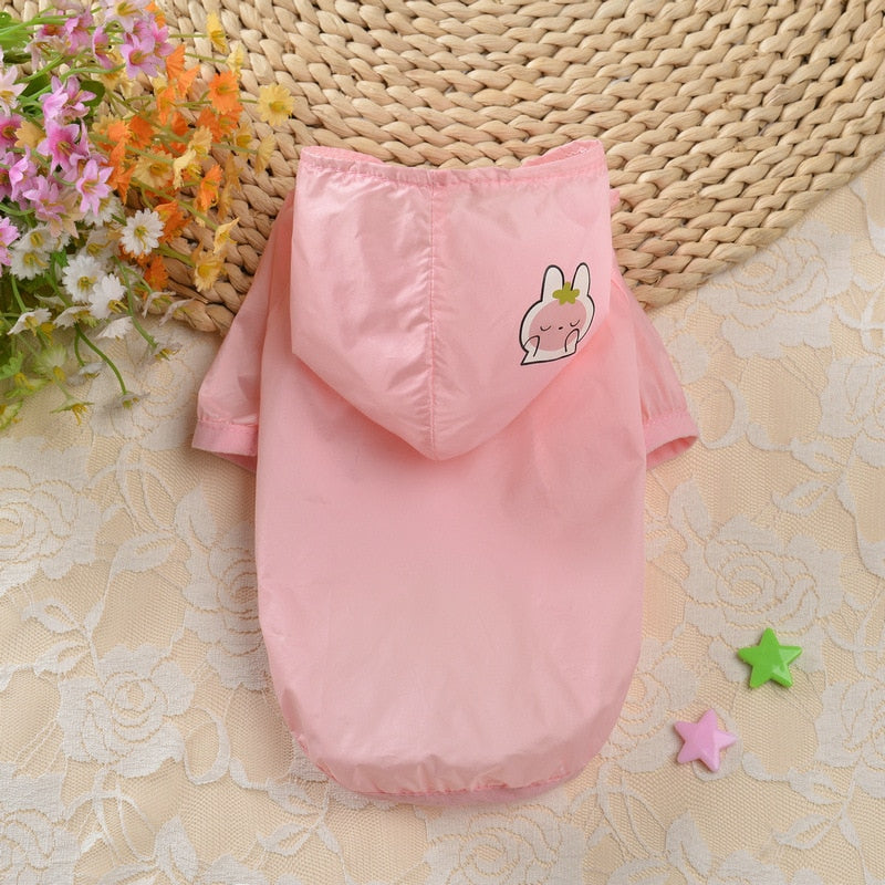 Thin Clothes for Cats