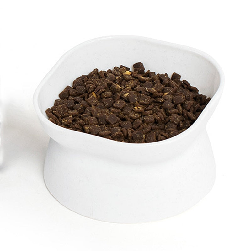 Tilted Cat Bowl