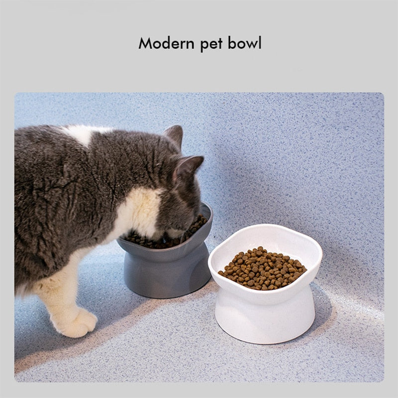 Tilted Cat Bowl