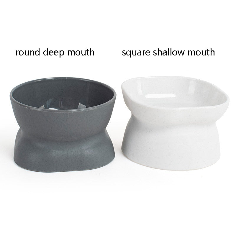 Tilted Cat Bowl