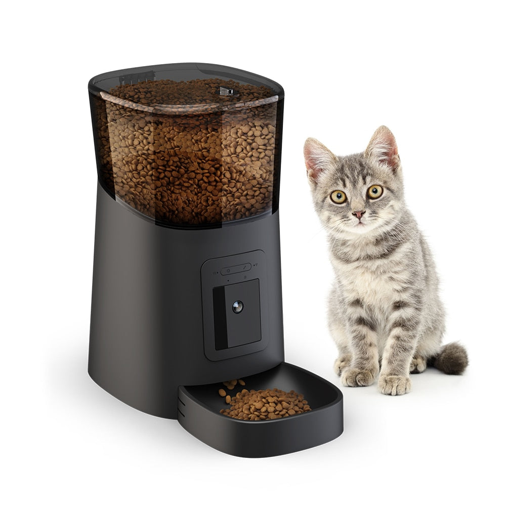 Timed Cat Food Dispenser