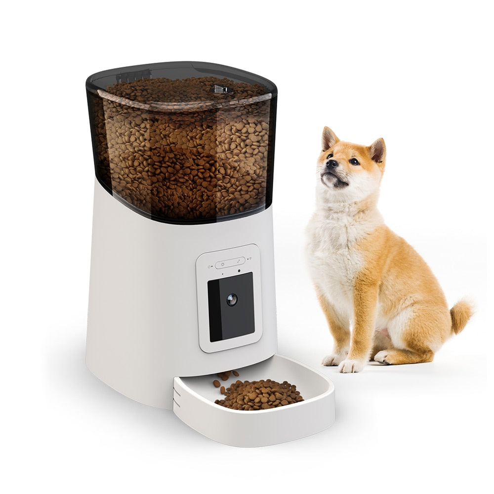 Timed Cat Food Dispenser