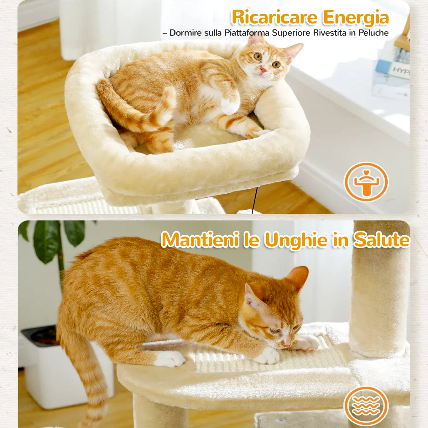 Gatto arancione riposa e graffia sull’albero tiragraffi MiniPaws™
