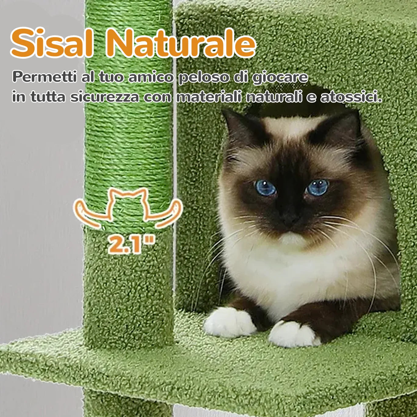 Tiragraffi CozyTree™ realizzato in sisal naturale per graffiare in sicurezza senza danneggiare le zampe