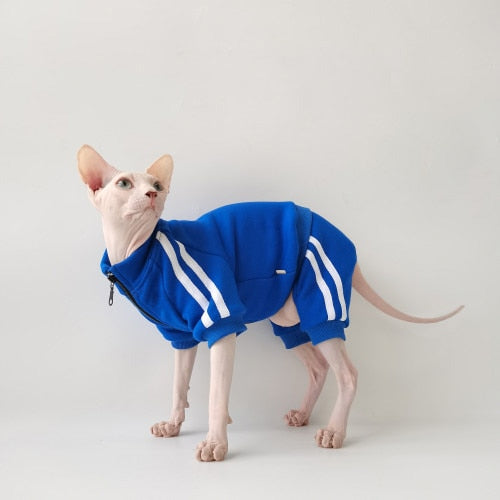 Tracksuit Clothes for Cats