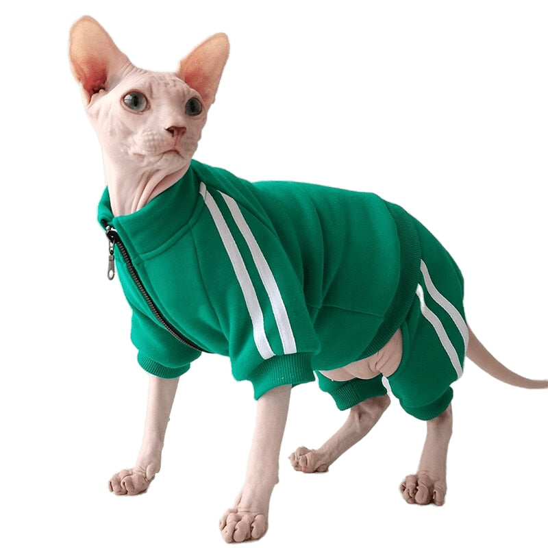 Tracksuit Clothes for Cats