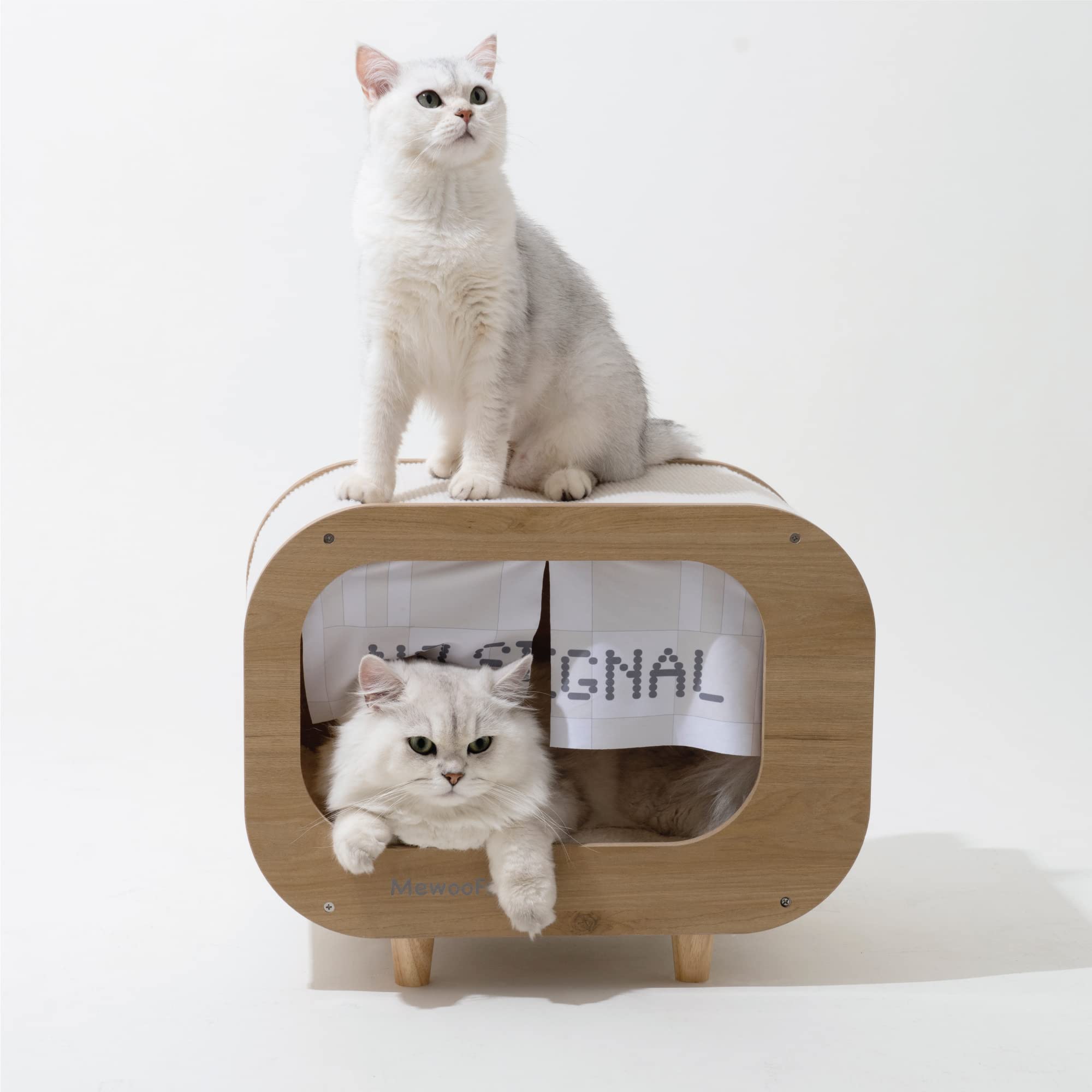 Tv Cat Bed