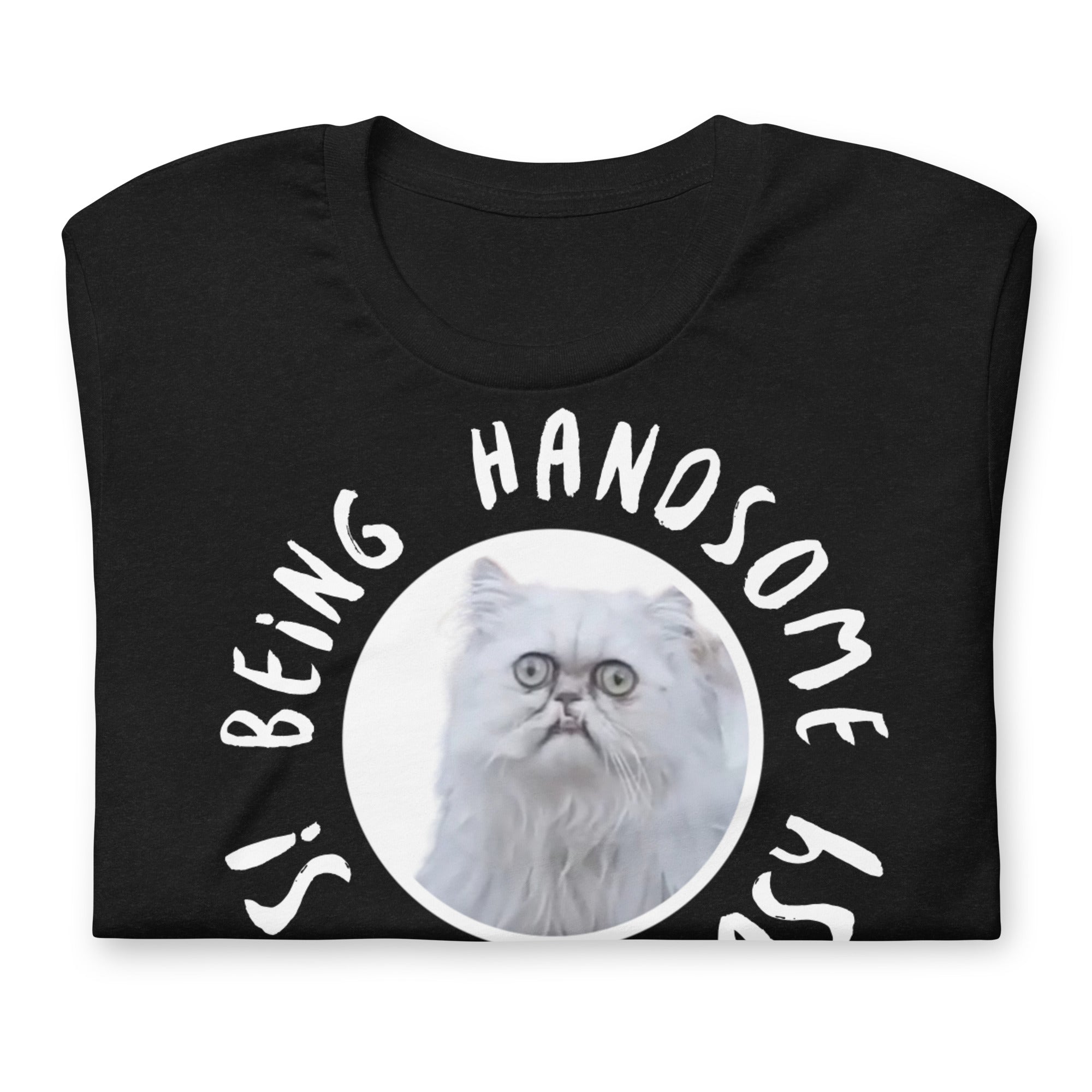 Ugly cat shirt