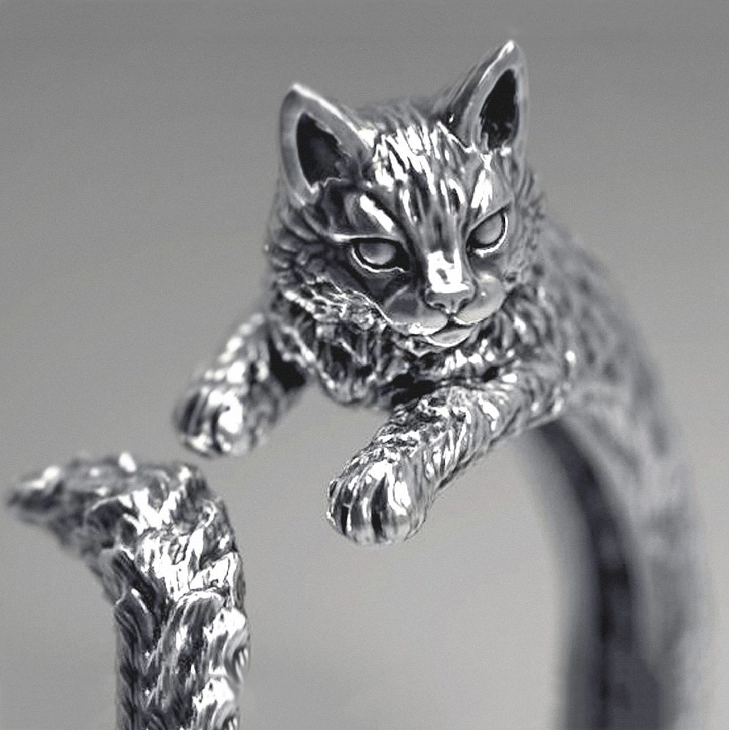 Vintage Ring Tail Cats
