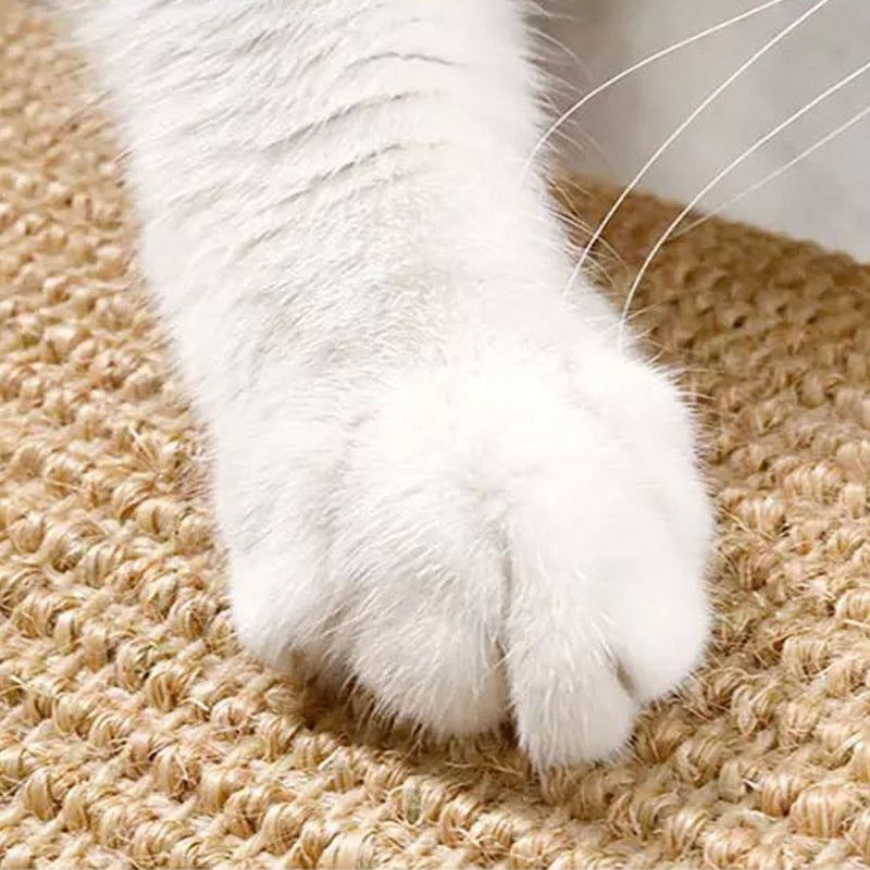 Wall Cat Scratching Post
