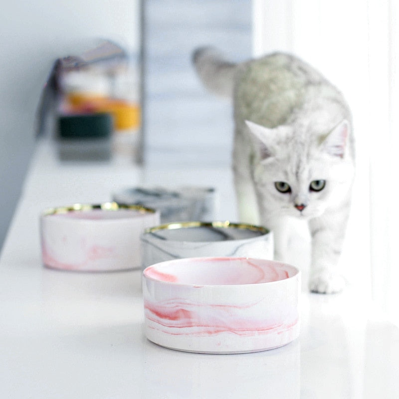 Water Bowls for Cats