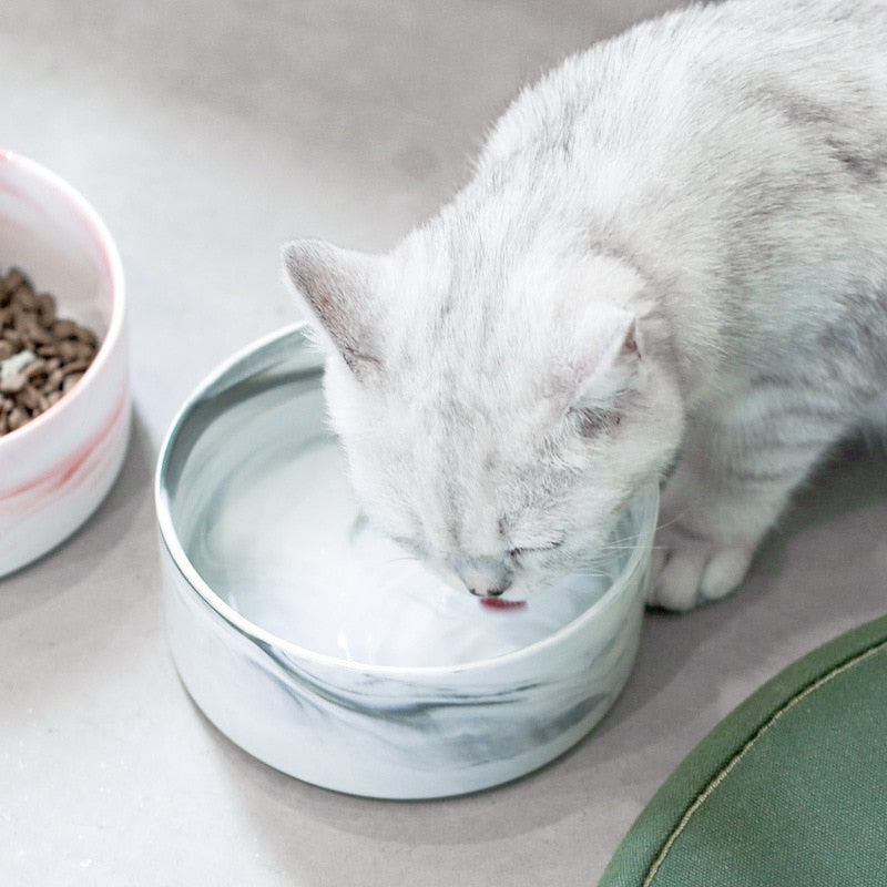 Water Bowls for Cats