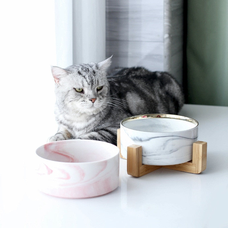 Water Bowls for Cats