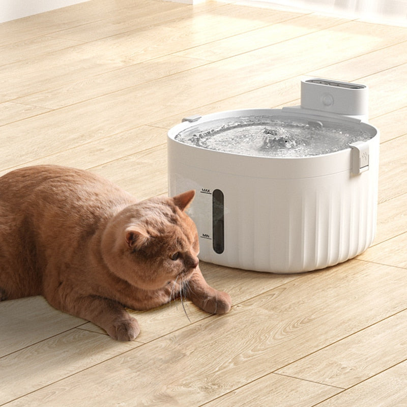Water Cat Fountain