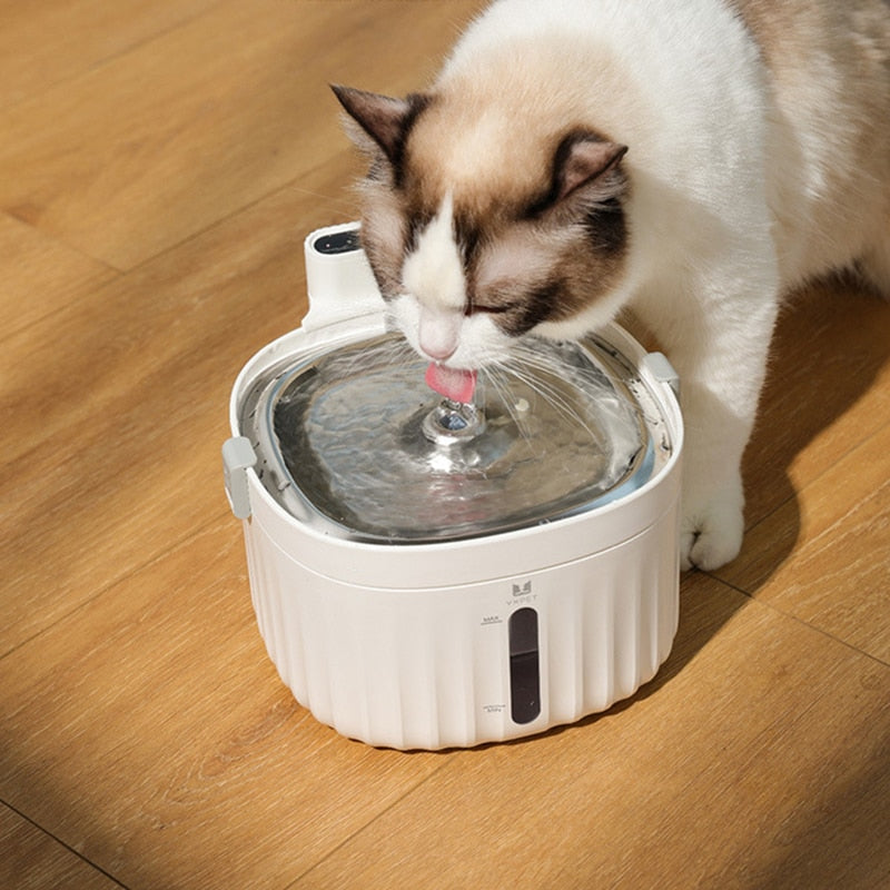 Water Cat Fountain