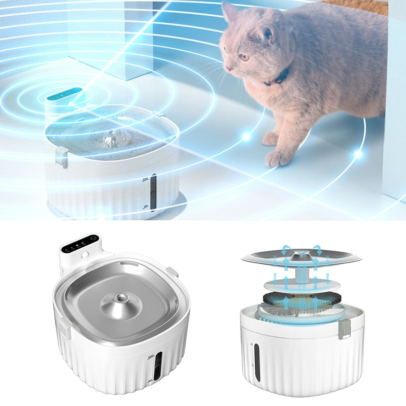 Water Cat Fountain