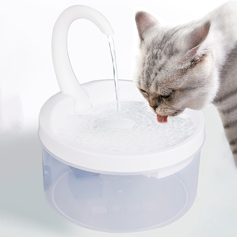 Water Fountain Cat
