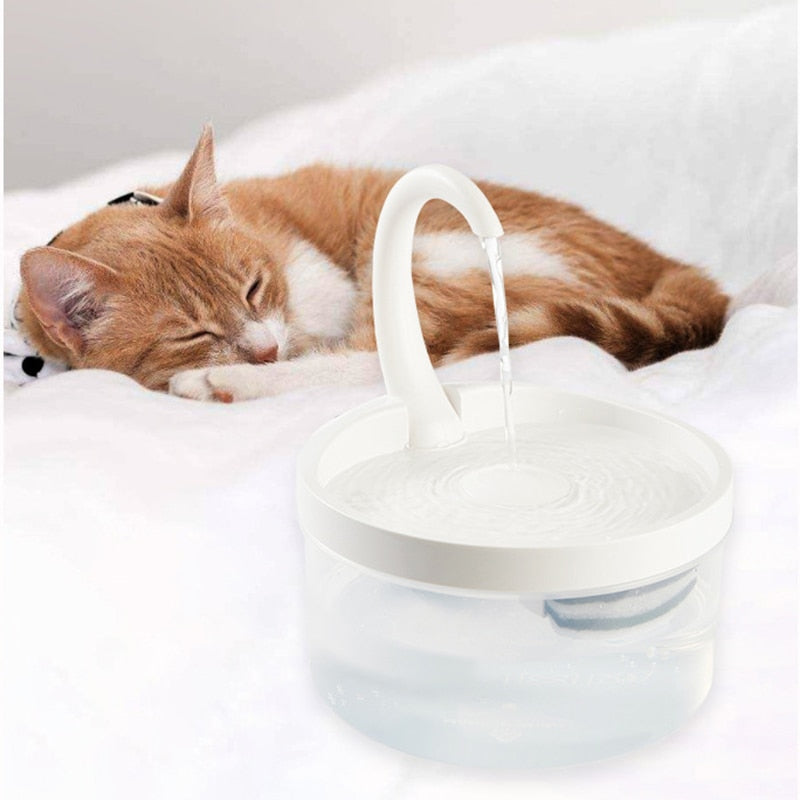 Water Fountain Cat