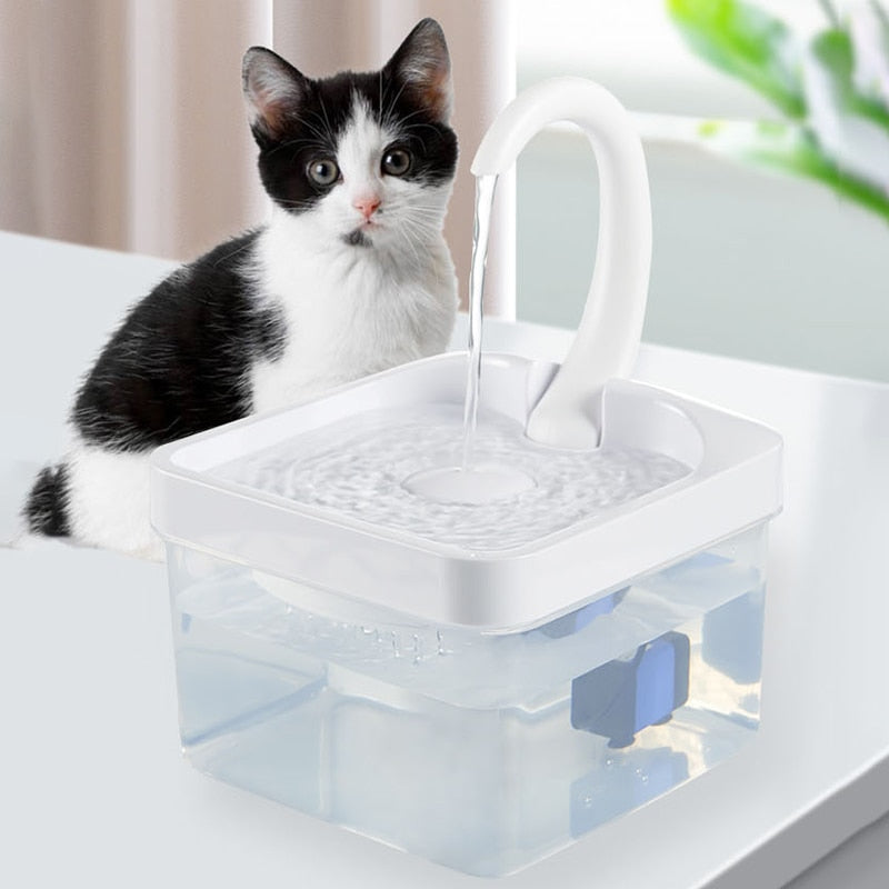 Water Fountain Cat