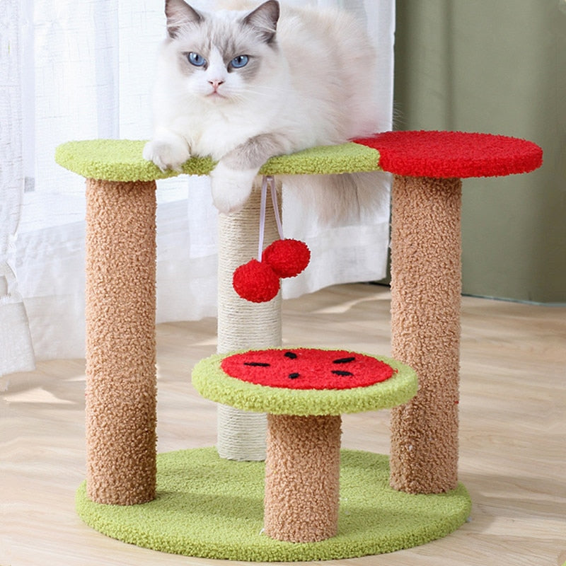 Watermelon Cat Scratching Post