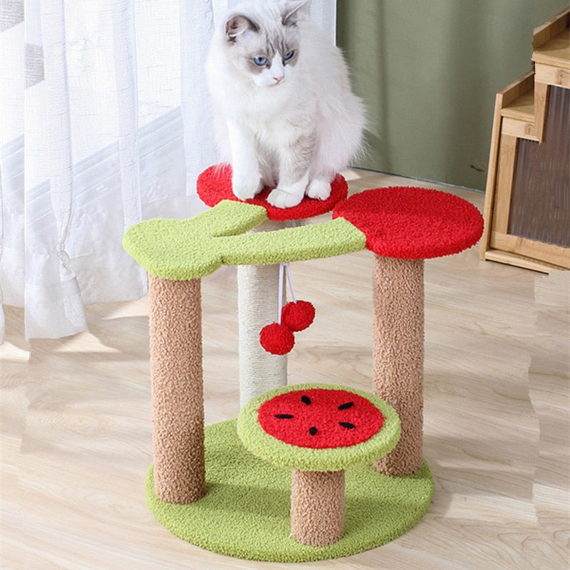 Watermelon Cat Scratching Post