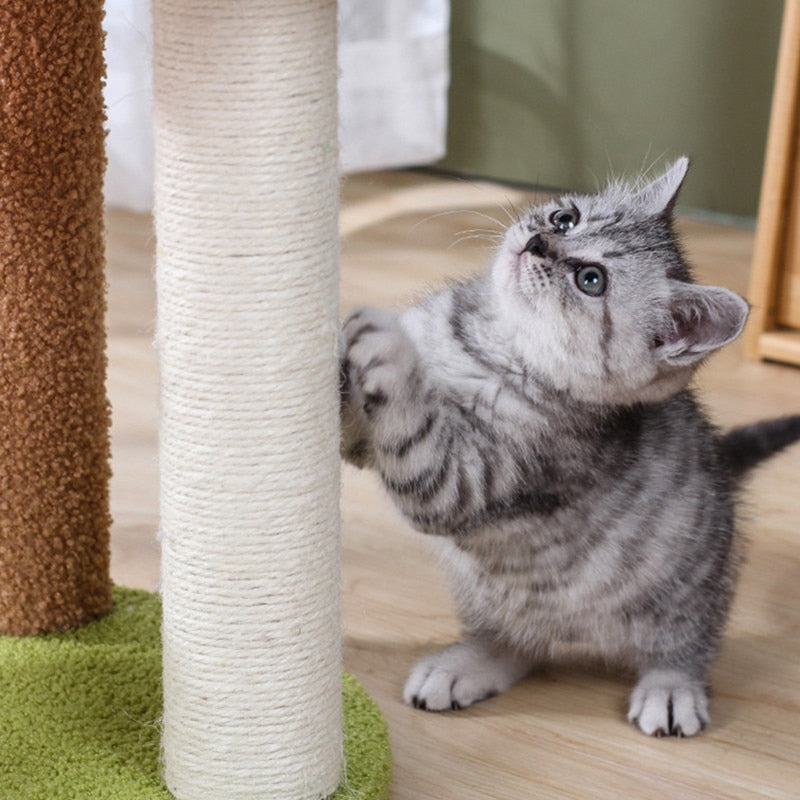 Watermelon Cat Scratching Post