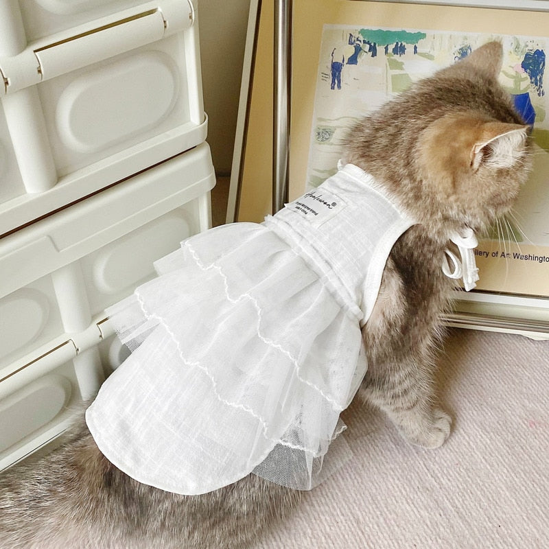 White Cat Dress