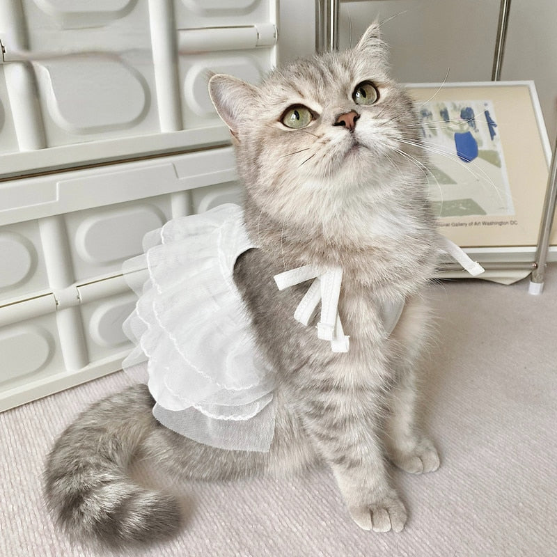 White Cat Dress