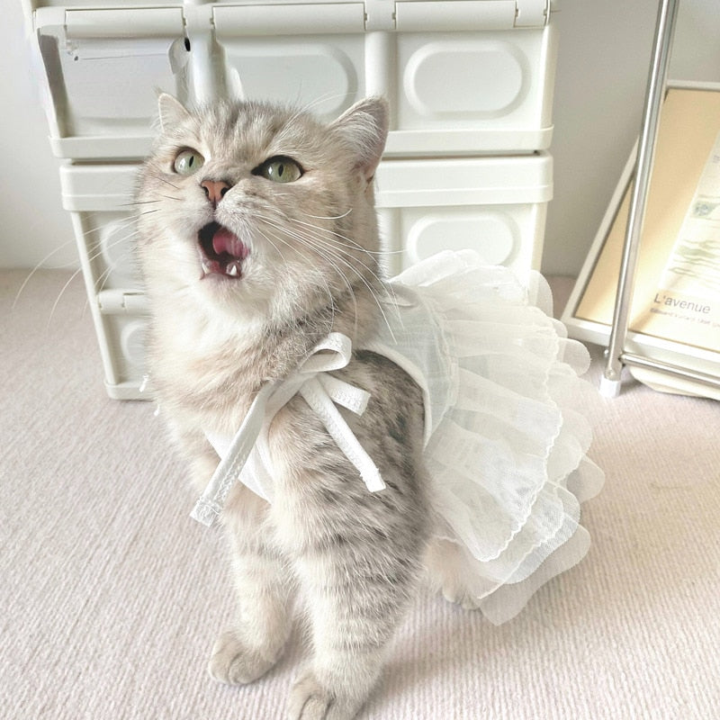 White Cat Dress