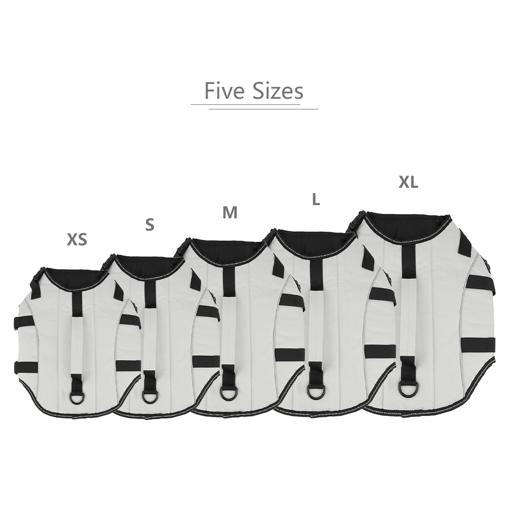 White Life Jackets for Cats