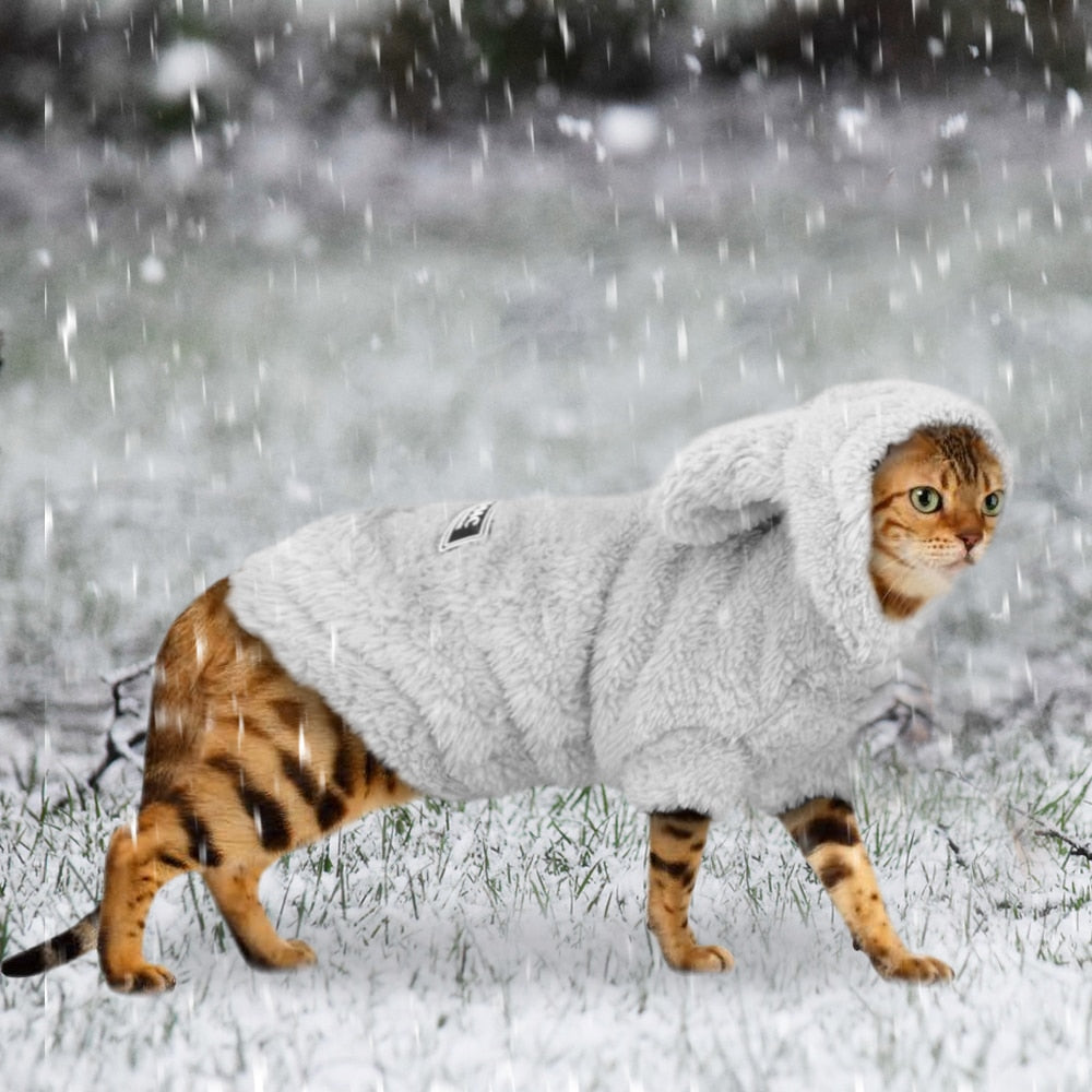 Winter Coat Cat Clothes