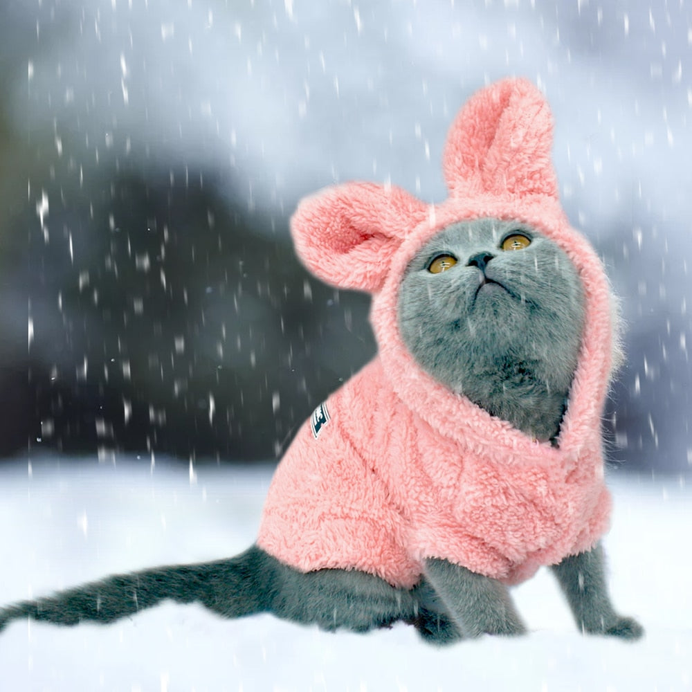 Winter Coat Cat Clothes