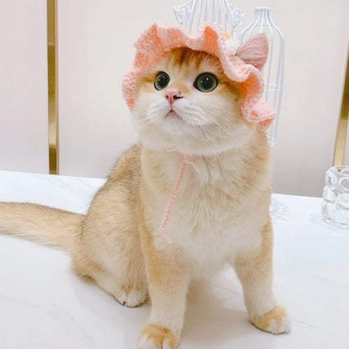 Winter Hats for Cats