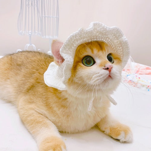 Winter Hats for Cats