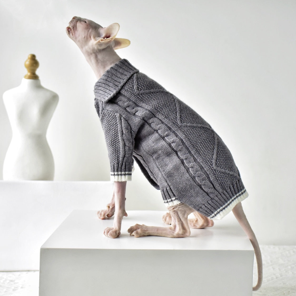 Winter Sphynx Cat Clothes