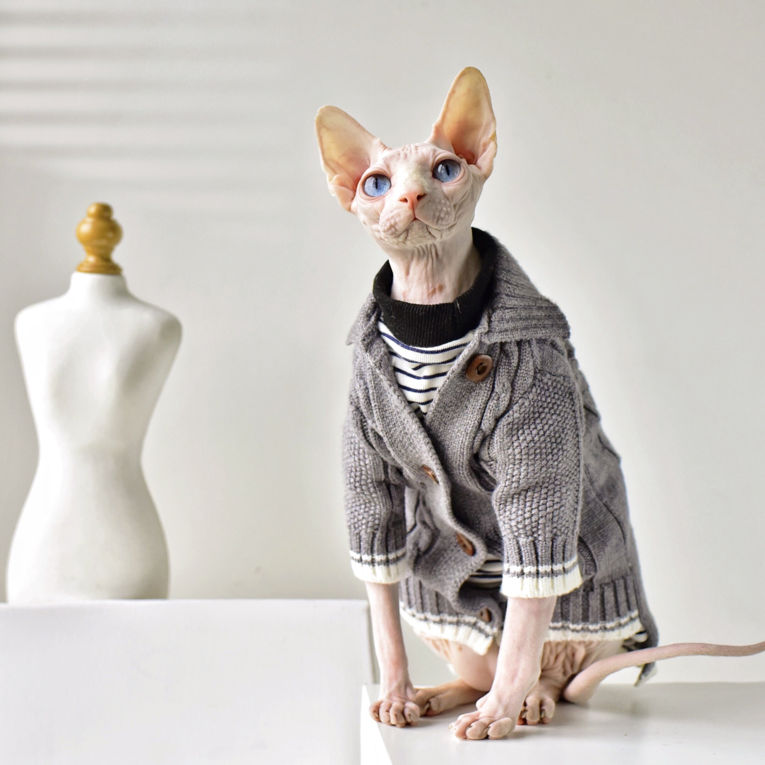 Winter Sphynx Cat Clothes