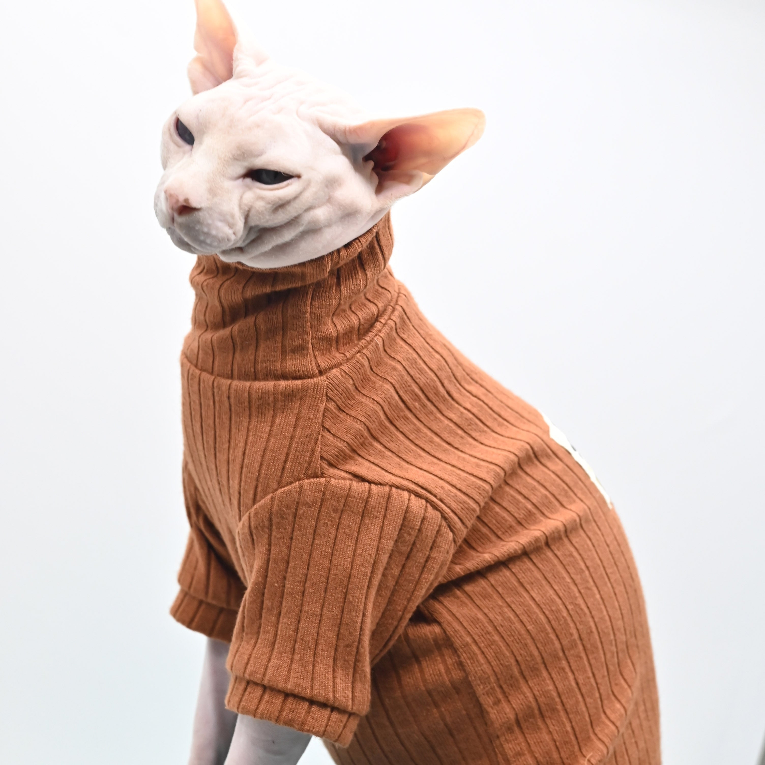Winter Sphynx Cat Clothes