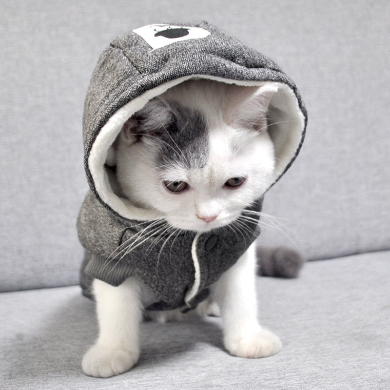 Winter Thick Clothes for Cats