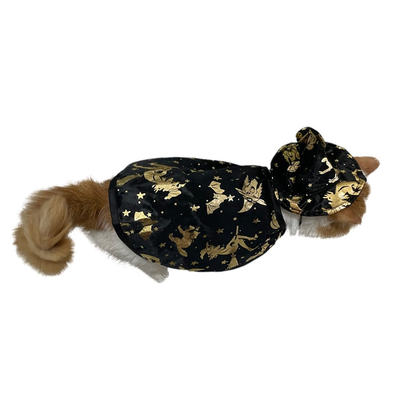 Wizard Costume for Cat