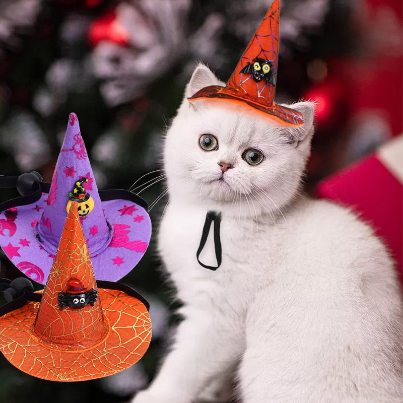 Wizard Hat for Cats