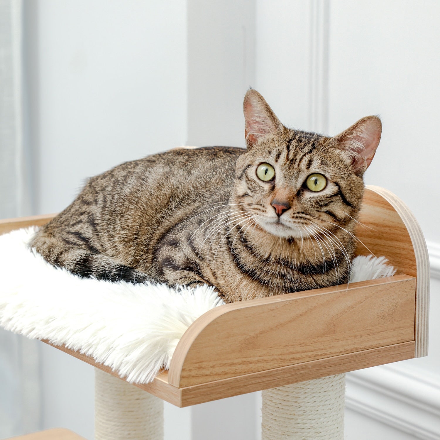 Wooden Cat Tree