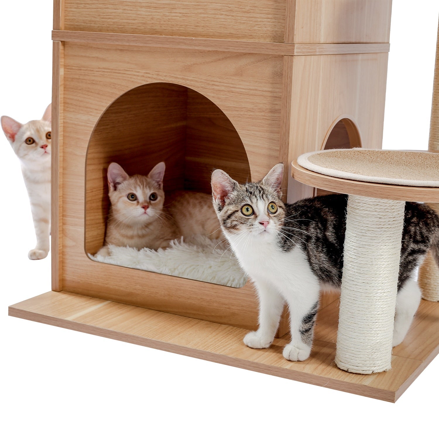 Wooden Cat Tree